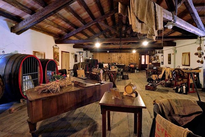 Half Day Venice Cruise Terminal Shore Excursion Wine Food Tasting Outlet Village - Accessibility and Participation