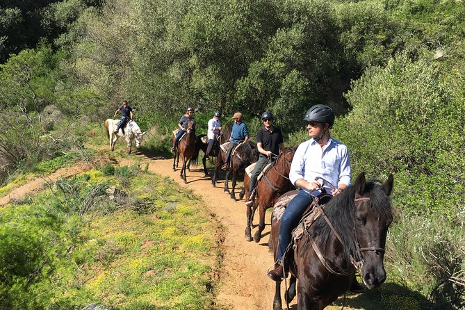 Half Day – Wine Tasting Horse Trail - Participant Requirements and Restrictions
