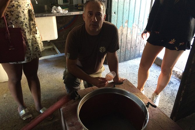 Half Day Wine Tour. Private Tour From Carcassonne and Around. - Customer Feedback