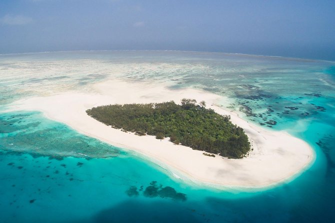 Half Day Zanzibar Mnemba Atoll Marine Reserve Snorkeling Tour - Customer Feedback