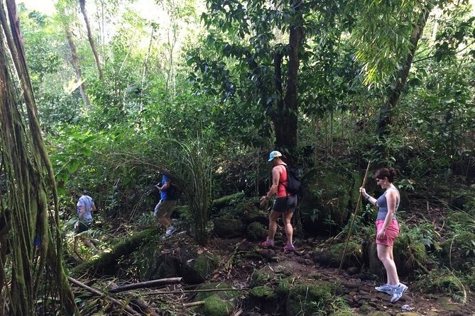 Hawaiian Waterfall Hike - Amenities and Inclusions for the Hike