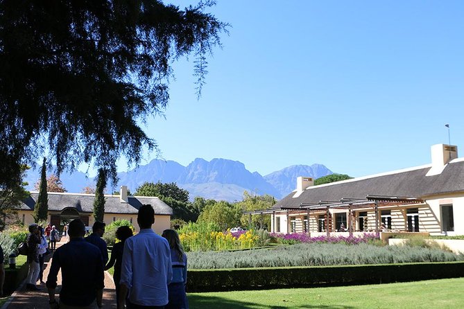 Helderberg Valley Winelands Day Tour With Private Transfer - Getting to the Winelands