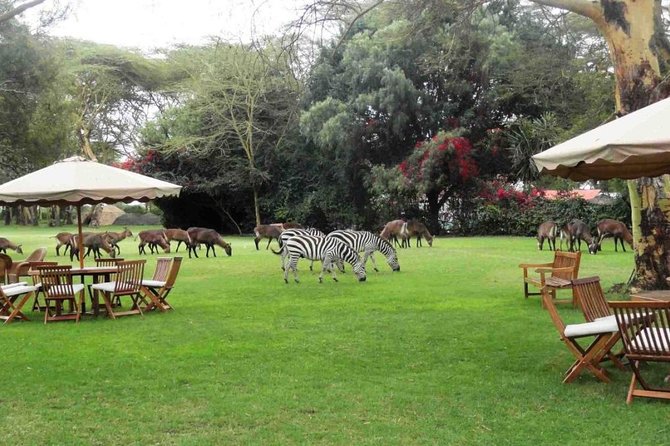 Hells Gate Excursion in Naivasha - Tour Requirements