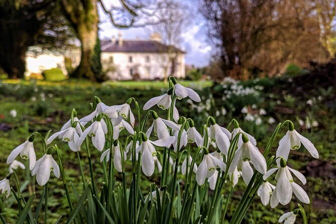 Heritage Walking Trail of Rathmullan. Donegal. Private Guide. - Booking Information