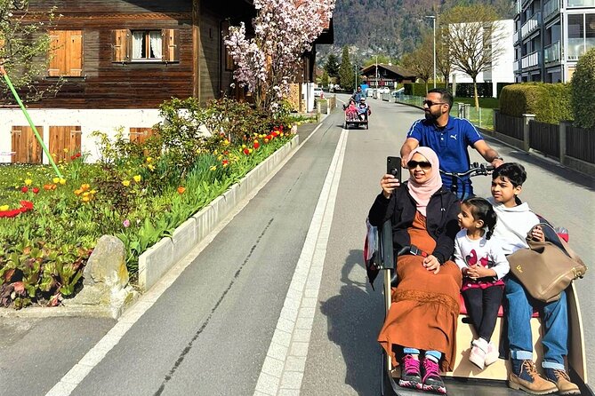 Hidden Gems E-Bike Tour With Picnic at Lake Brienz - Personalized Experience in Small Groups