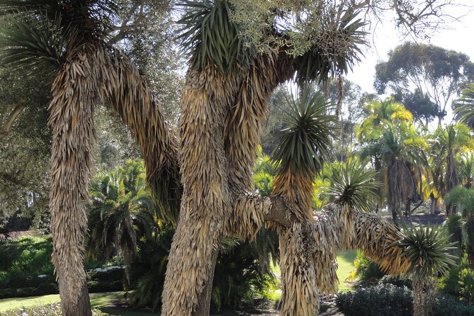 Hidden Nature Walks in the City Private Tour - Midsize Car Shuttle Note