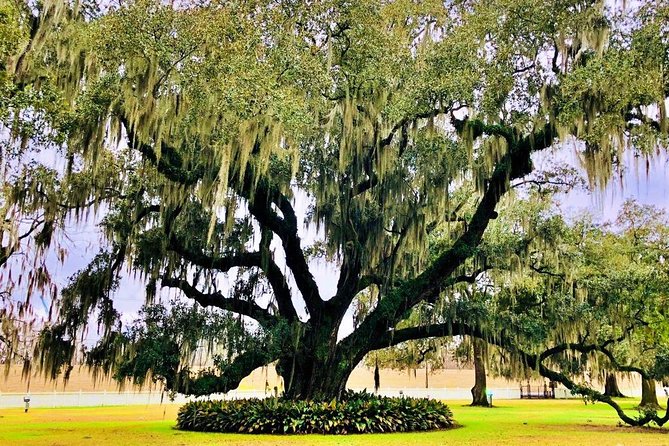 Highlights of New Orleans City and Destrahan Plantation Tour - Highlights of New Orleans City