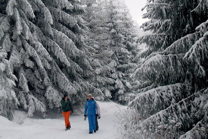 Hike in The Central Balkan National Park - Physical Fitness Requirements