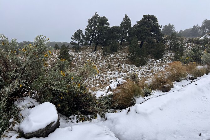 Hike Snowy Mountain Nevado Toluca (Private Tour From Mexico City) - Positive Feedback