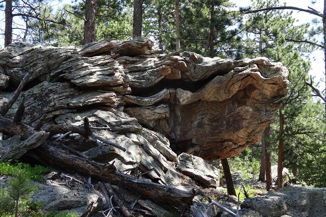 Hike the Rockies Half Day Tour - Health and Safety Guidelines