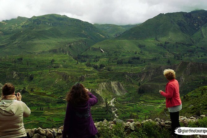 Hike - Trek Colca Canyon 2d/1n With Final in Puno - Booking and Cancellation Policy