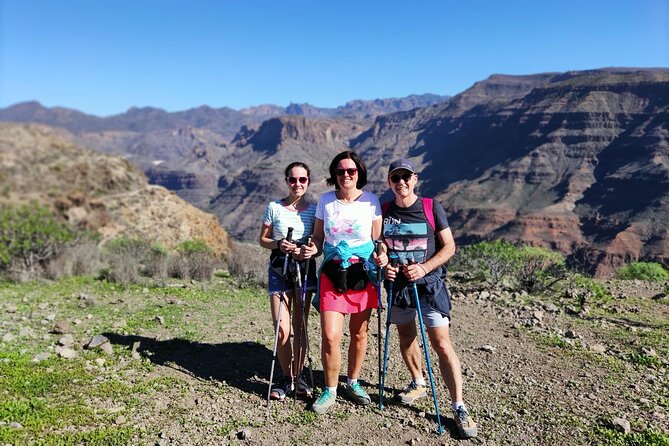 Hikes in the Green Gran Canaria | Travel Buddies