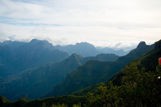Hiking and Trekking Tours in Madeira - Volcanic Landscapes and Endemic Flora