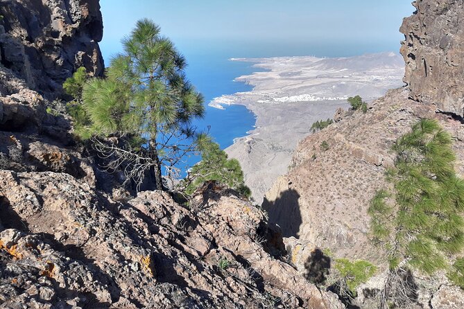 Hiking Experience in the North of Gran Canaria - Cancellation and Refund Policy