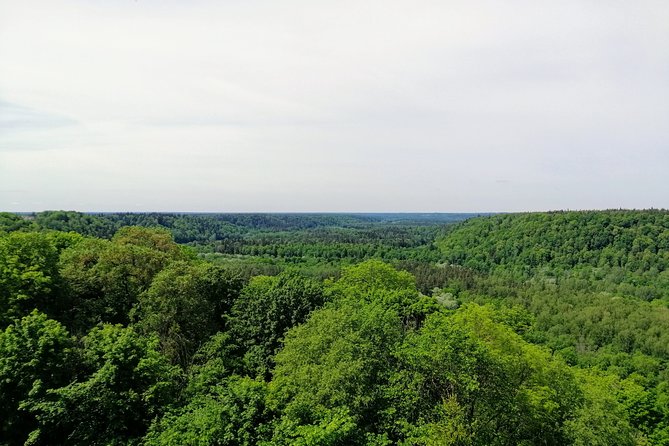 Hiking in Gauja National Park - Private Tour Experience