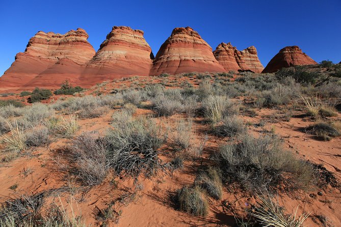Hiking in Kanab: Famous Teepees of Vermilion Cliffs National Monument Near Wave - Navigating the Trails and Terrain