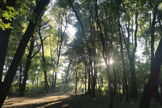 Hiking in the Magaliesberg,Wildlife Hike an Hour Fromjohannesburg - Health and Safety Considerations