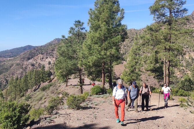 Hiking in the Sacred Mountains of Gran Canaria: UNESCO - Cultural Insights and Local Flora
