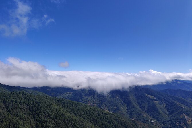 Hiking in the Sierra Norte of Oaxaca - Traversing Varied Terrain