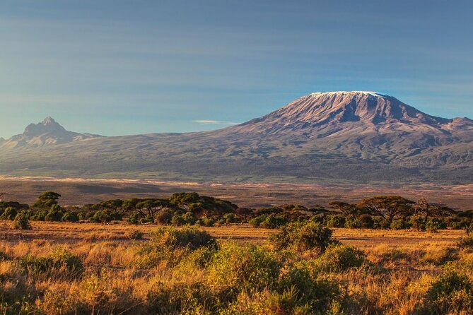 Hiking Mt Kilimanjaro 7 Days Scenic Route & Moderate Challenge - Safari Soles Tours Experience