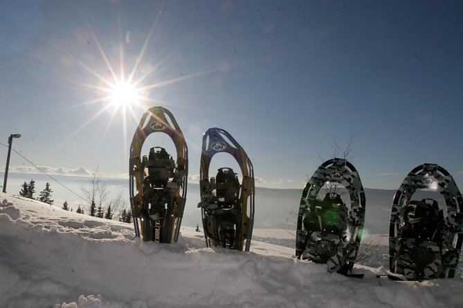 Hiking on Snowshoes - Since You Asked