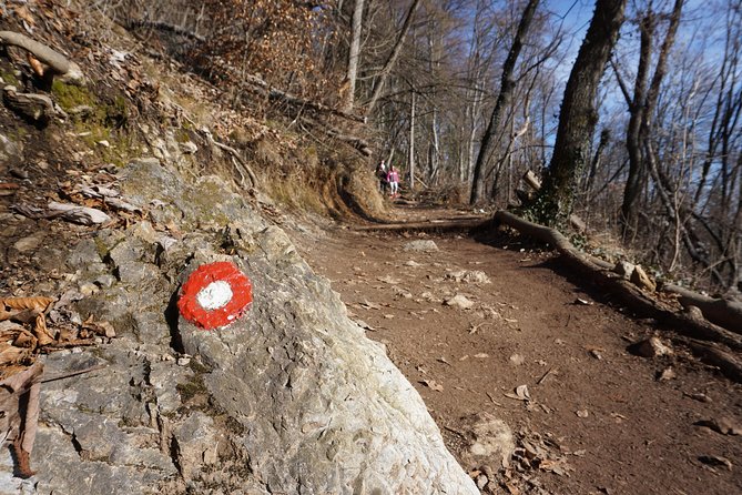 Hiking on the Edge of Ljubljana - Preparing for the Adventure