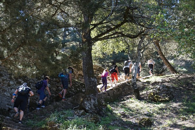 Hiking Profitis Ilias Mountain - Pick up Service Available - Reviews and Feedback