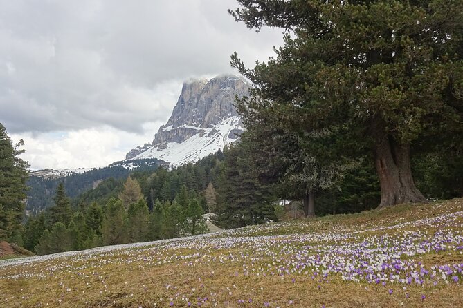 Hiking Tour in the World Natural Heritage Unesco Dolomites - Guided Hiking Experience