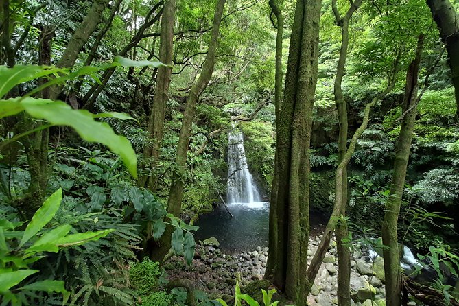 Hiking Tour Sanguinho Salto Do Prego Waterfall and Furnas - Booking and Payment Information