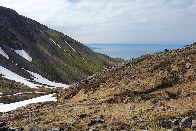 Hiking Tours in Troll Peninsula - Traveler Experiences