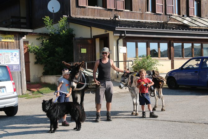 Hiking With Donkeys - Customizing the Hiking Experience