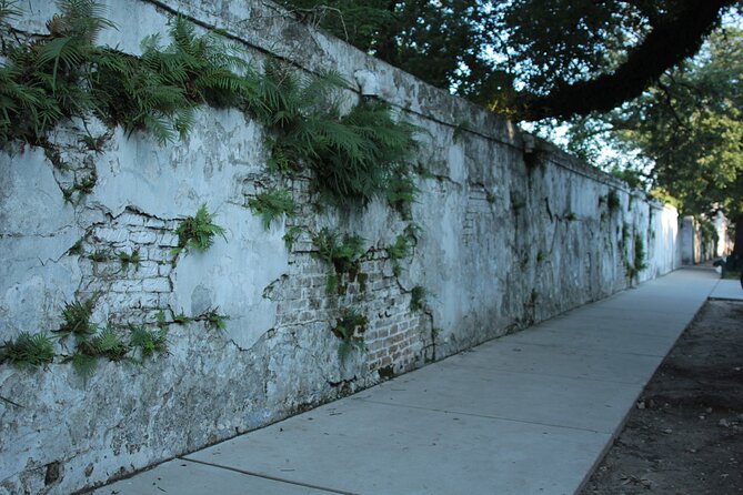 Historic Garden District Walking Tour - Customer Reviews and Feedback