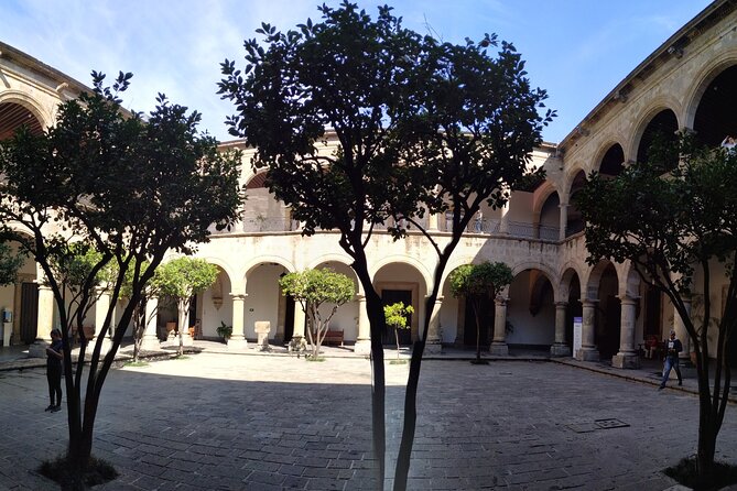 History & Muralism: Guadalajara Walking Tour - Guide Performance