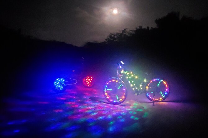 Holiday Lights Sunset Twilight Neon Glow Electric Bike Downtown - Tour Duration and Schedule