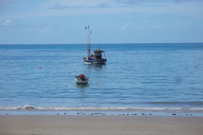 Horse Back Riding and Eco Tourism Food and Fun. - Frequently Asked Questions