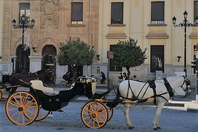Horse-Drawn Carriage Private Ride Through Seville - Convenient Pickup and Drop-off