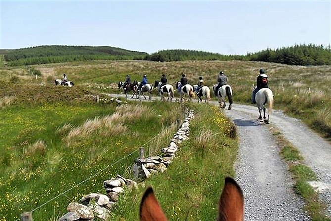 Horse Riding - Dirt Trek Trail. Lisdoonvarna, Clare. Guided. 1 Hour. - Terrain and Scenery
