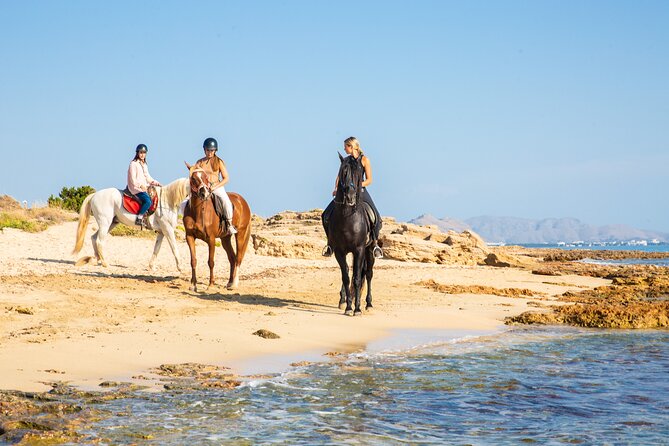 Horse Riding in Mallorca - Participation Guidelines