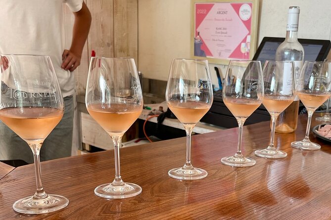 Horse Riding in the Vineyards of Ramatuelle + Wine Tasting - Meeting and Logistics