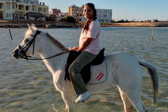 Horse Riding on the Beach and Desert 3 Hours From Hurghada - Customer Feedback Insights