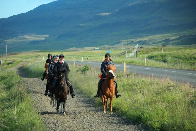 Horse Riding Tour to the Glacier River Delta With Waterfall - Héraðsvötn Delta Discovery