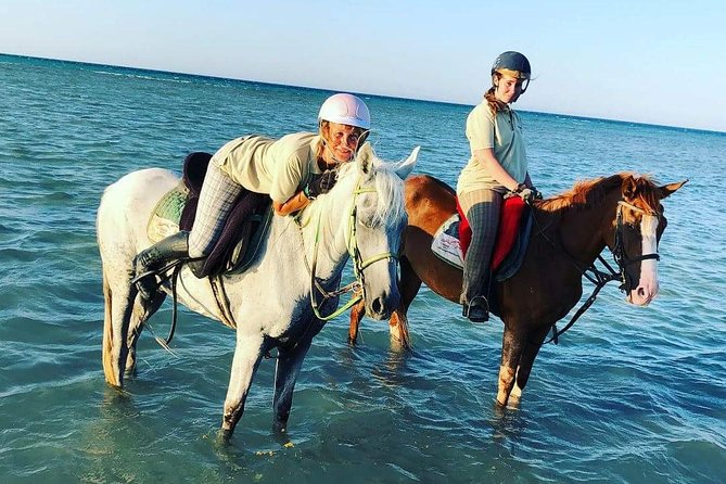 Horse Riding Tour Two Hours Sun & Sea With Transfer - Hurghada - Pickup and Booking Details