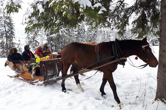Horse Sleigh Ride in the Countyside and Thermal Pools in One Day, Private Tour - Additional Information