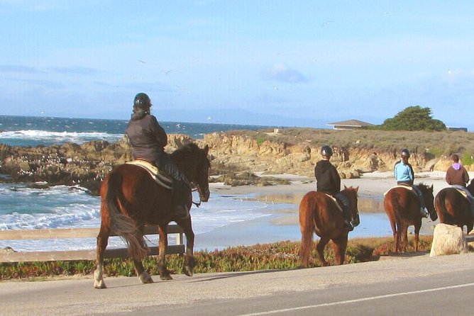 Horseback Ride & Alcatraz Prison Tickets - Requirements and Restrictions