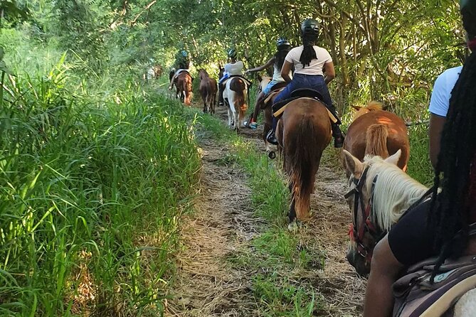 Horseback Riding, A Scenic Escape - Tour Requirements and Restrictions