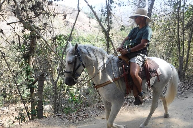 Horseback Riding Experience in Sierra Madre Mountains - Scenic Landscapes