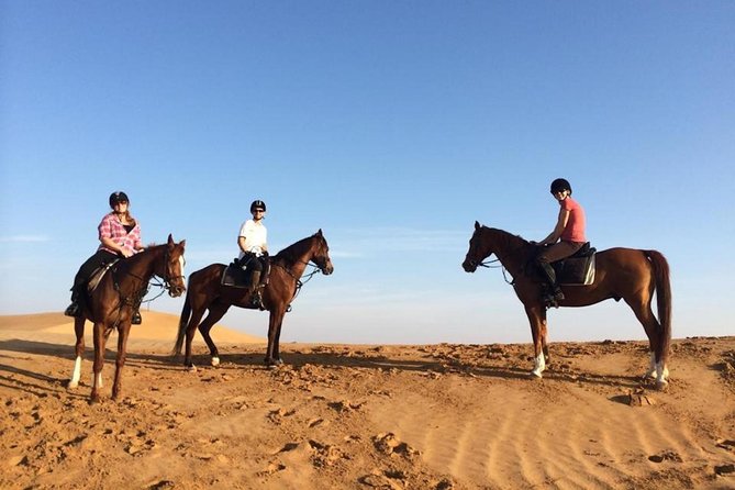 Horseback Riding in Dubai Desert With Transfers - Booking and Reservation Information