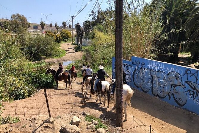 Horseback Riding Rosarito Beaches & Puerto Nuevo Lobster - Highlights of the Tour