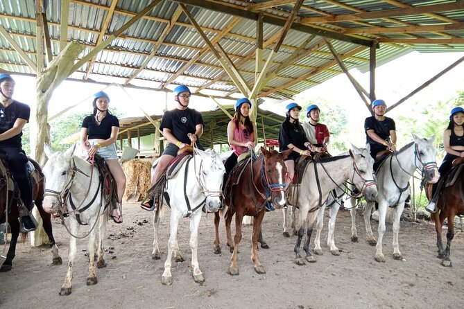 Horseback Riding to Arenal Volcano - Final Verdict On This Stay