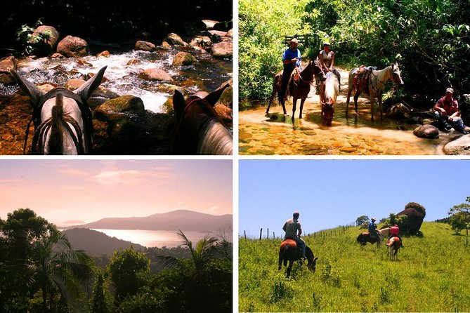 Horseback-Riding Tour From Paraty - What to Expect
